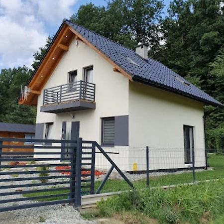 Leniowka Apartment Ponikiew  Екстериор снимка